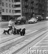 25.06.1968, Warszawa, Polska.
Kobieta z pudlami przechodząca przez ulicę Marszałkowską. 
Fot. Jarosław Tarań, zbiory Ośrodka KARTA