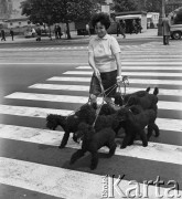 25.06.1968, Warszawa, Polska.
Kobieta z pudlami przechodząca przez ulicę Marszałkowską. 
Fot. Jarosław Tarań, zbiory Ośrodka KARTA