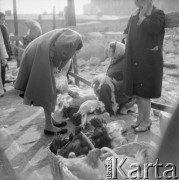 Październik 1963, Warszawa, Polska.
Handel na bazarze przy ul. Pańskiej.
Fot. Jarosław Tarań, zbiory Ośrodka KARTA [63-154]

