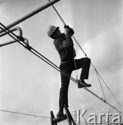 30.10.1968, Lublin/Warszawa, Polska. 
Elektyfikacja linii kolejowej Warszawa-Lublin. Praca przy trakcji elektrycznej.
Fot. Jarosław Tarań, zbiory Ośrodka KARTA