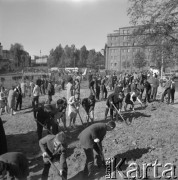 Październik 1964, Warszawa, Polska.
Studenci podczas prac społecznych na Mariensztacie.
Fot. Jarosław Tarań, zbiory Ośrodka KARTA [64-37]

