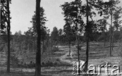 Sierpień 1939, Radość k/Warszawy, Polska.
Sosnowy las w okolicach Radości.
Fot. Bolesław Pełczyński, zbiory Ośrodka KARTA, album rodzinny udostępnił Włodzimierz Pełczyński.

