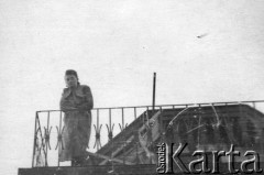 1940, Lwów, Ukraina, ZSRR.
Aniela Pełczyńska na balkonie.
Fot. Bolesław Pełczyński, zbiory Ośrodka KARTA, album rodzinny udostępnił Włodzimierz Pełczyński.

