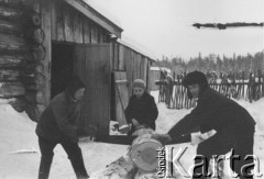 Zima 1940-1941, Posiołek 45 - Pierierożdienie, Sierowski rejon, Swierdłowski obwód, ZSRR.
Rodzina Pełczyńskich podczas piłowania drewna na opał.
Fot. NN, zbiory Ośrodka KARTA, album rodzinny udostępnił Włodzimierz Pełczyński.

