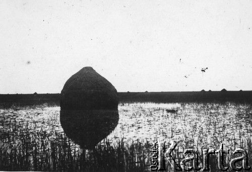 1937, Pińsk okolice, woj. poleskie, Polska.
Stóg siana na łące zalanej wodą.
Fot. Władysław Nadwornik, zbiory Ośrodka KARTA, udostępnił Wiesław Pakosik-Pakosz


