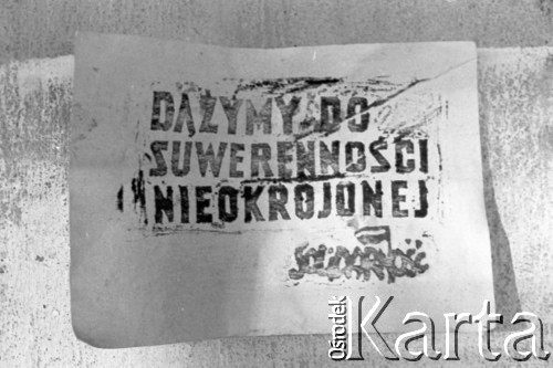 Sierpień 1983, Grodzisko Dolne.
