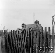 Lata 60. lub 70., Polska.
Dzieci za płotem.
Fot. Czesław Wdowczyk, zbiory Ośrodka KARTA, udostępnił Henryk Wdowczyk
 
