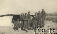 Styczeń 1943, Mosul, Irak.
Żołnierze 2 Korpusu Polskiego przed namiotem, z lewej, z pieskiem, Jan Troszyński.
Fot. NN, zbiory Ośrodka KARTA, kolekcję Jana Troszyńskiego udostępnił Jan Laskowski

