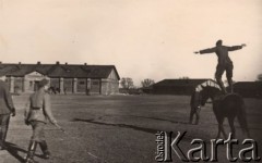 1937-1938, Zambrów, Polska.
Mazowiecka Szkoła Podchorążych Rezerwy Artylerii im. gen. Józefa Bema. Woltyżerka na placu ćwiczeń.
Fot. NN, zbiory Ośrodka KARTA, Pogotowie Archiwalne [PAF_012] , udostępnił Michał Zdrojewski