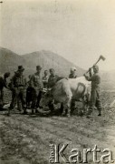Lata 40., brak miejsca.
Żołnierze Armii Andersa.
Fot.NN, zbiory Ośrodka KARTA, Pogotowie Archiwalne [PAF_012], album Bogdana Konopko udostępnił Michał Zdrojewski