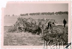 1939, Polska.
Żołnierze Wehrmachtu zakładający siatkę maskującą na działo artylerii lekkiej.
Fot. NN, zbiory Ośrodka KARTA, Pogotowie Archiwalne [PAF_011], udostępniła Jolanta Szczudłowska