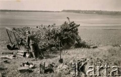 1939, Polska.
Żołnierze Wehrmachtu zakładający siatkę maskującą na działo artylerii lekkiej.
Fot. NN, zbiory Ośrodka KARTA, Pogotowie Archiwalne [PAF_011], udostępniła Jolanta Szczudłowska
