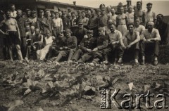 1942, Mannheim, III Rzesza Niemiecka.
Polscy żołnierze, więźniowie obozu jenieckiego.
Fot. R. Gottwald, Koblencja; zbiory Ośrodka KARTA, zdjęcia z kolekcji Marcelego Ślaskiego udostępniła Barbara Gleb

