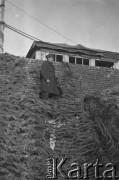 1945-1946, Niemcy.
 Mechanik Sylwester Patoka.
Fot. NN, zbiory Ośrodka KARTA, kolekcję Sylwestra Patoki udostępnił Piotr Trąbiński
   
