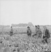 Lata 60., Polska.
Sokolnicy.
Fot. Bogdan Łopieński, zbiory Ośrodka KARTA