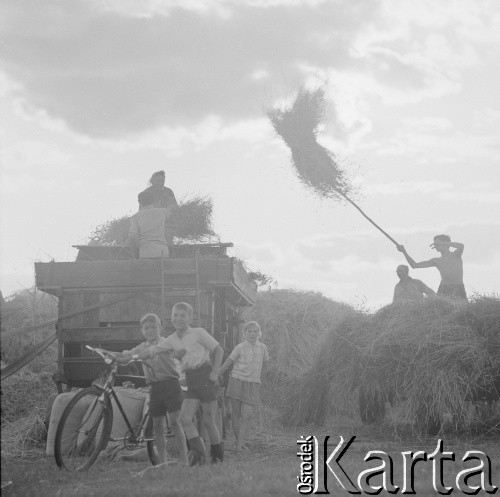 Lata 60., Polska.
Żniwa.
Fot. Bogdan Łopieński, zbiory Ośrodka KARTA