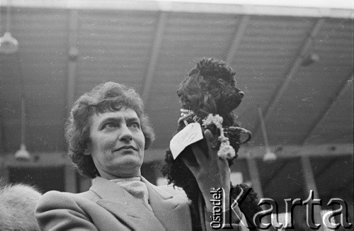I poł. lat 60., Warszawa, Polska.
Kobieta prezentuje psa podczas Wystawa Psów Radowych.
Fot. Bogdan Łopieński, zbiory Ośrodka KARTA
