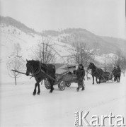 Lata 60., Piwniczna-Zdrój, woj. krakowskie, Polska.
Zaprzęg.
Fot. Bogdan Łopieński, zbiory Ośrodka KARTA