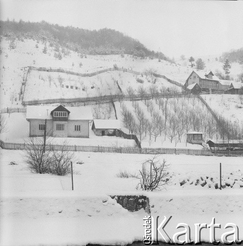 Lata 60., Piwniczna-Zdrój, woj. krakowskie, Polska.
Widok miasteczka.
Fot. Bogdan Łopieński, zbiory Ośrodka KARTA