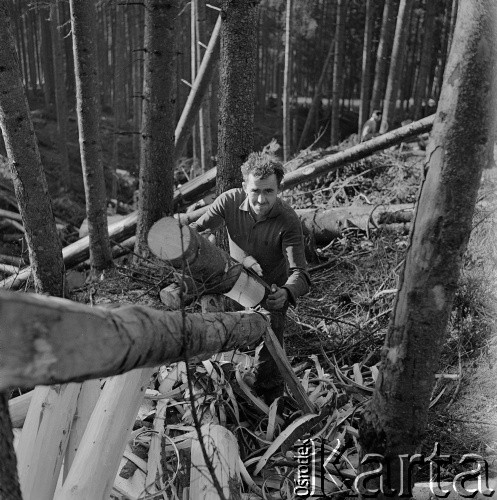 Lata 60., Tatry, Polska.
Wycinka drzew.
Fot. Bogdan Łopieński, zbiory Ośrodka KARTA