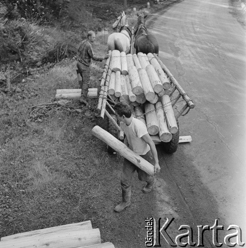 Lata 60., Tatry, Polska.
Wywóz drewna.
Fot. Bogdan Łopieński, zbiory Ośrodka KARTA