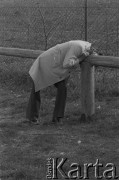 1975, Łącko, woj. krakowskie, Polska.
Święto Kwitnącej Jabłoni.
Fot. Bogdan Łopieński, zbiory Ośrodka KARTA