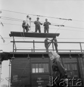 1967, Pożóg, woj. lubelskie, Polska.
Elektryfikacja kolei na odcinku Warszawa-Lublin.
Fot. Bogdan Łopieński, zbiory Ośrodka KARTA