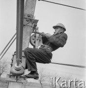 1967, Pożóg, woj. lubelskie, Polska.
Elektryfikacja kolei na odcinku Warszawa-Lublin.
Fot. Bogdan Łopieński, zbiory Ośrodka KARTA