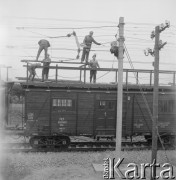 1967, Pożóg, woj. lubelskie, Polska.
Elektryfikacja kolei na odcinku Warszawa-Lublin.
Fot. Bogdan Łopieński, zbiory Ośrodka KARTA