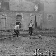 1969, Polska.
Mężczyźni próbujący złapać prosiaka wypuszczonego z płonących zabudowań gospodarczych.
Fot. Bogdan Łopieński, zbiory Ośrodka KARTA