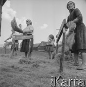 1965, Polska.
Międlenie lnu.
Fot. Bogdan Łopieński, zbiory Ośrodka KARTA