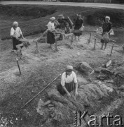 1965, Polska.
Międlenie i suszenie lnu.
Fot. Bogdan Łopieński, zbiory Ośrodka KARTA