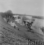 1967, okolice Czerwińska, woj. warszawskie, Polska.
Rozlewisko Wisły.
Fot. Bogdan Łopieński, zbiory Ośrodka KARTA