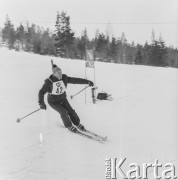 Ok. 1976, okolice Rovaniemi, Finlandia.
Wyprawa na biegun polarny Stowarzyszenia Dziennikarzy Polskich.
Fot. Bogdan Łopieński, zbiory Ośrodka KARTA