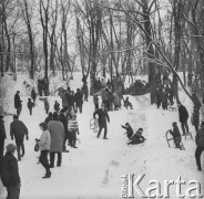 Lata 60., Warszawa, Polska.
Dzieci na sankach w Parku Agrykola.
Fot. Bogdan Łopieński, zbiory Ośrodka KARTA