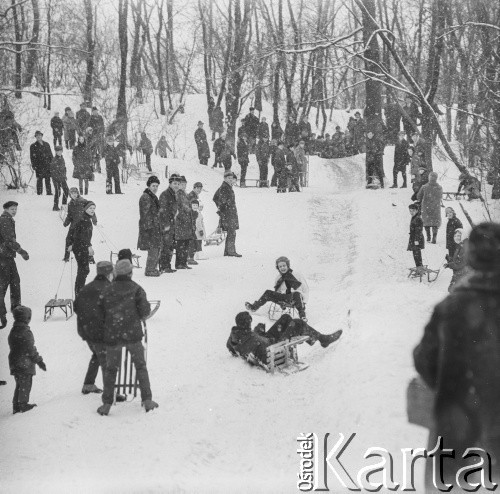 Lata 60., Warszawa, Polska.
Dzieci na sankach w Parku Agrykola.
Fot. Bogdan Łopieński, zbiory Ośrodka KARTA