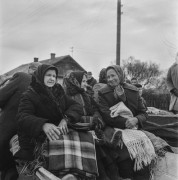 1965, Drohiczyn, woj. białostockie, Polska.
Kobiety na wozie.
Fot. Bogdan Łopieński, zbiory Ośrodka KARTA