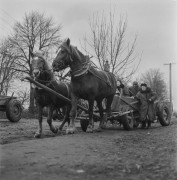 1965, Drohiczyn, woj. białostockie, Polska.
Wóz konny.
Fot. Bogdan Łopieński, zbiory Ośrodka KARTA