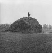 Lata 60., Polska.
Sokolnicy.
Fot. Bogdan Łopieński, zbiory Ośrodka KARTA