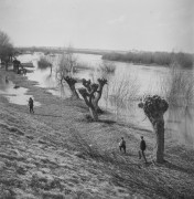 1967, okolice Czerwińska nad Wisłą, woj. warszawskie, Polska.
Rozlewisko Wisły. 
Fot. Bogdan Łopieński, zbiory Ośrodka KARTA