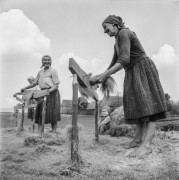 1965, Polska.
Międlenie lnu.
Fot. Bogdan Łopieński, zbiory Ośrodka KARTA