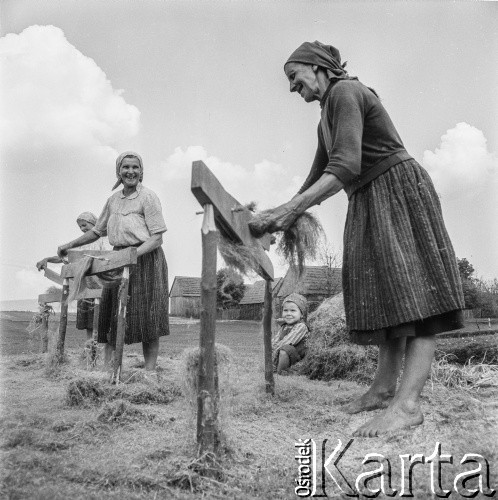 1965, Polska.
Międlenie lnu.
Fot. Bogdan Łopieński, zbiory Ośrodka KARTA