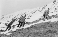 Brak daty, Tatry, woj. krakowskie, Polska.
Akcja ratunkowa na Hali Gąsiennicowej.
Fot. Bogdan Łopieński, zbiory Ośrodka KARTA