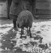 Prawdopodobnie lata 60., Podlasie, Polska.
Gospodarstwo wiejskie.
Fot. Bogdan Łopieński, zbiory Ośrodka KARTA