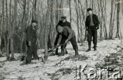 1939-1945, Volpriehausen, III Rzesza Niemiecka.
Robotnicy przymusowi z Polski pracujący w gospodarstwach niemieckich.
Fot. zbiory Ośrodka KARTA, Pogotowie Archiwalne [PA_024], przekazali Dorota i Tomasz Wojciechowscy