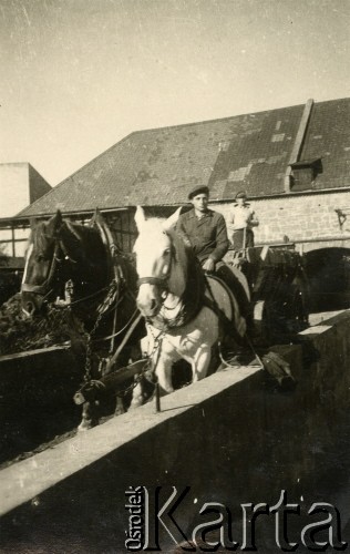 1939-1945, Volpriehausen, III Rzesza Niemiecka.
Robotnicy przymusowi z Polski pracujący w gospodarstwach niemieckich.
Fot. zbiory Ośrodka KARTA, Pogotowie Archiwalne [PA_024], przekazali Dorota i Tomasz Wojciechowscy