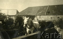1939-1945, Volpriehausen, III Rzesza Niemiecka.
Robotnicy przymusowi z Polski pracujący w gospodarstwach niemieckich.
Fot. zbiory Ośrodka KARTA, Pogotowie Archiwalne [PA_024], przekazali Dorota i Tomasz Wojciechowscy