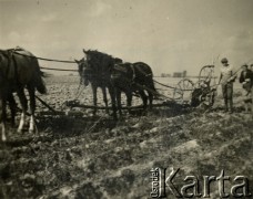 Lata 40., brak miejsca.
Praca na roli.
Fot. zbiory Ośrodka KARTA, Pogotowie Archiwalne [PA_024], przekazali Dorota i Tomasz Wojciechowscy