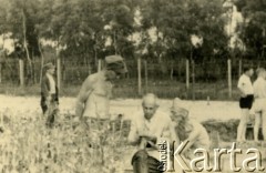 1941-1942, Dorsten, III Rzesza Niemiecka.
Obóz jeniecki oficerów Wojska Polskiego. Praca w zakładanych przez jeńców ogródkach. 
Fot. zbiory Ośrodka KARTA, Pogotowie Archiwalne [PA_024], przekazali Dorota i Tomasz Wojciechowscy