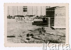 1941, Polska.
II wojna światowa. Obóz jeniecki dla żołnierzy sowieckich.
Fot. zbiory Ośrodka KARTA, Pogotowie Archiwalne [PA_06], udostępnił Mirosław Glaser